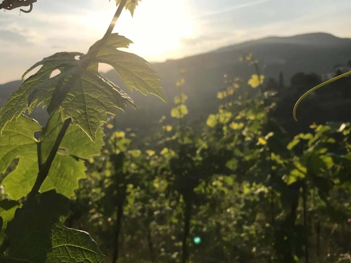 Penzion Locanda 